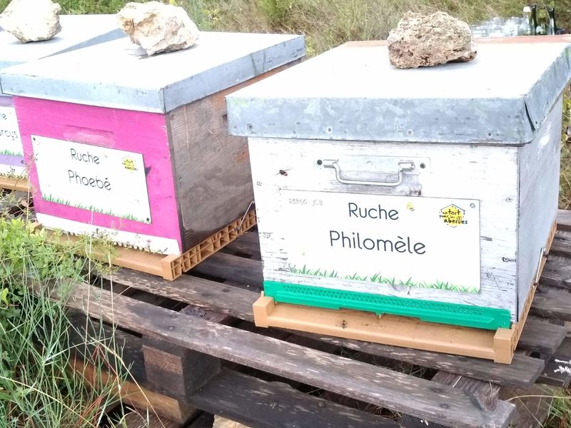 La ruche Philomèle