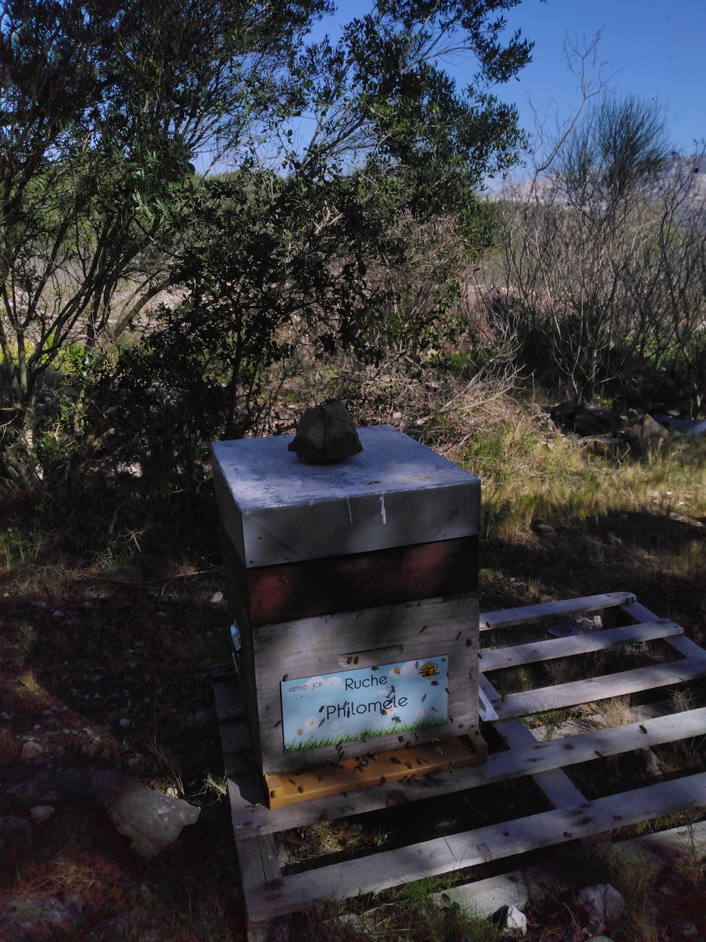 La ruche Philomèle