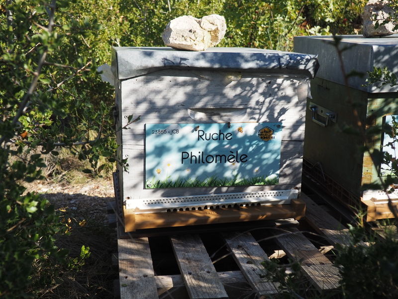 La ruche Philomèle