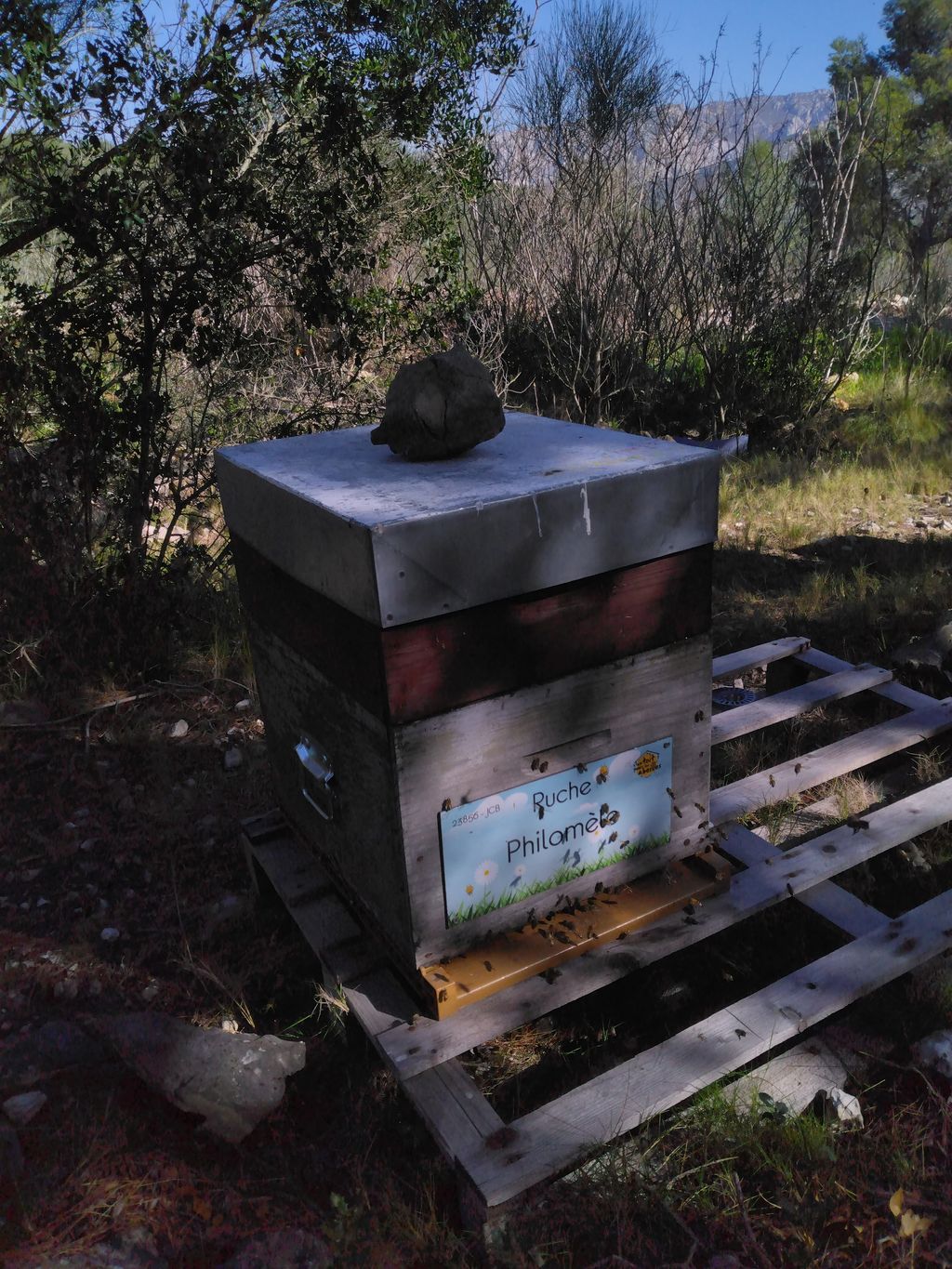 La ruche Philomèle
