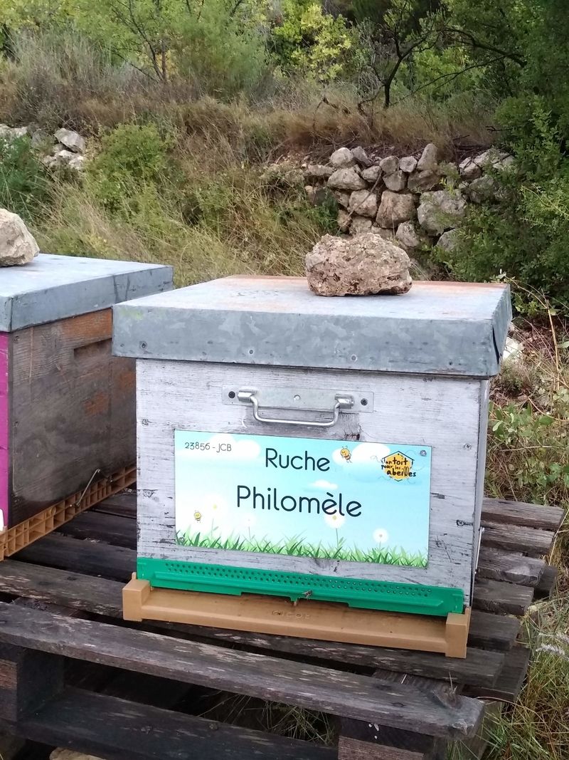La ruche Philomèle