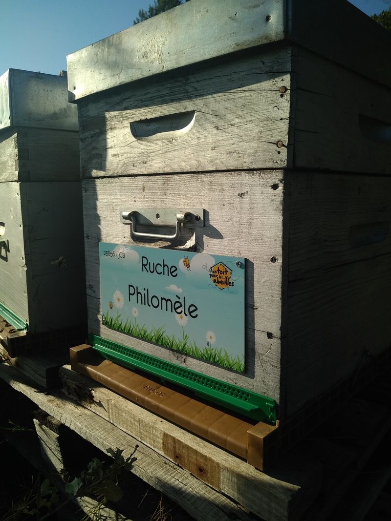 La ruche Philomèle