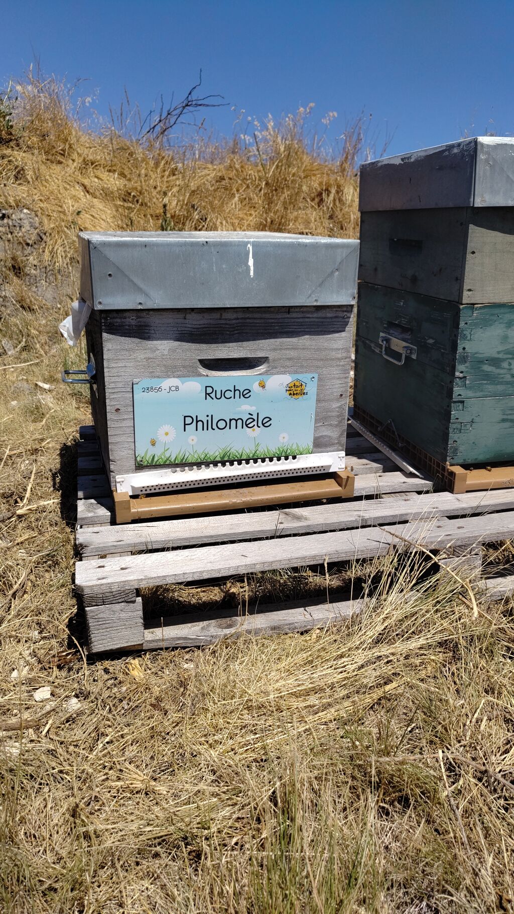 La ruche Philomèle