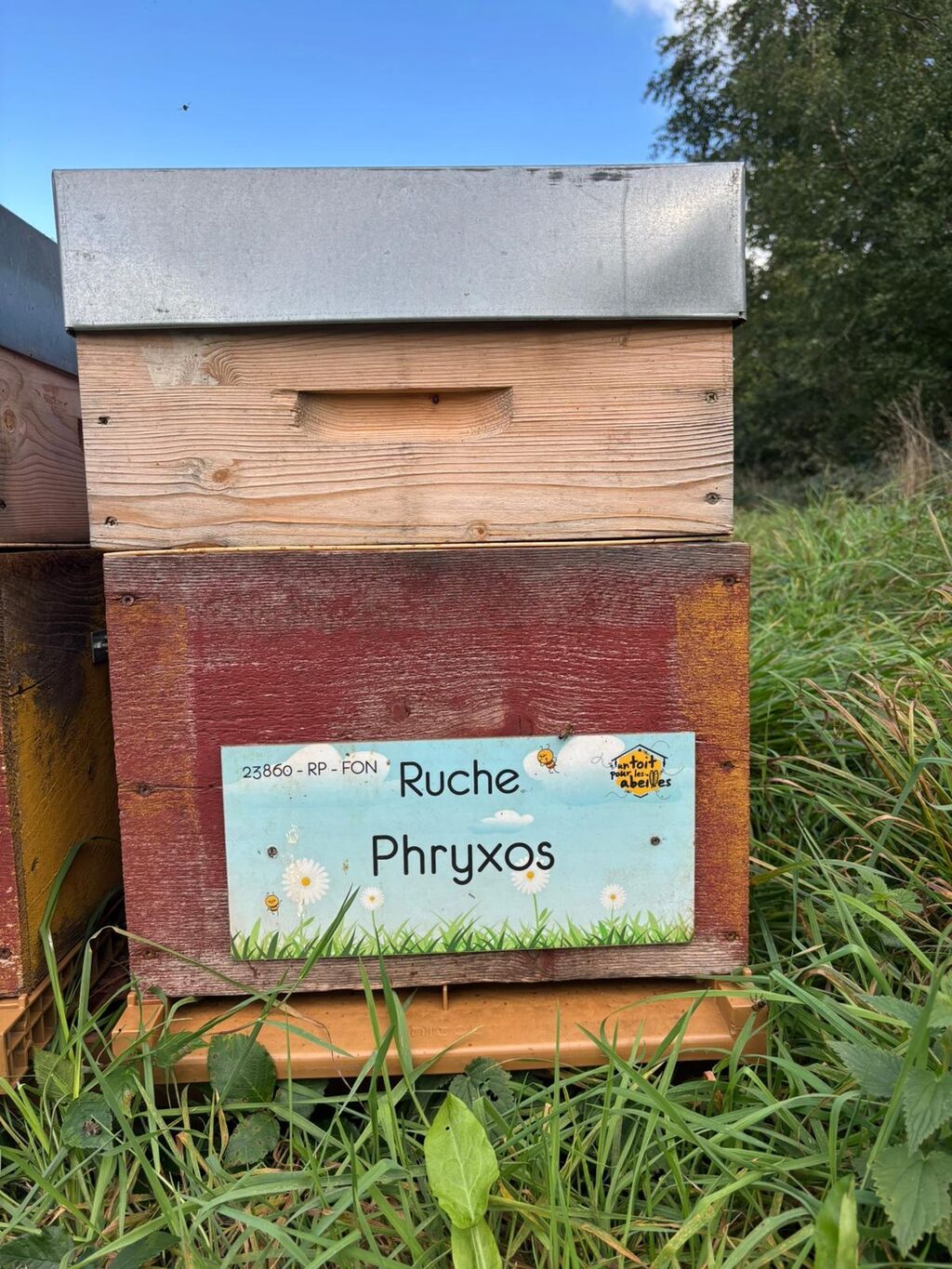 La ruche Phryxos