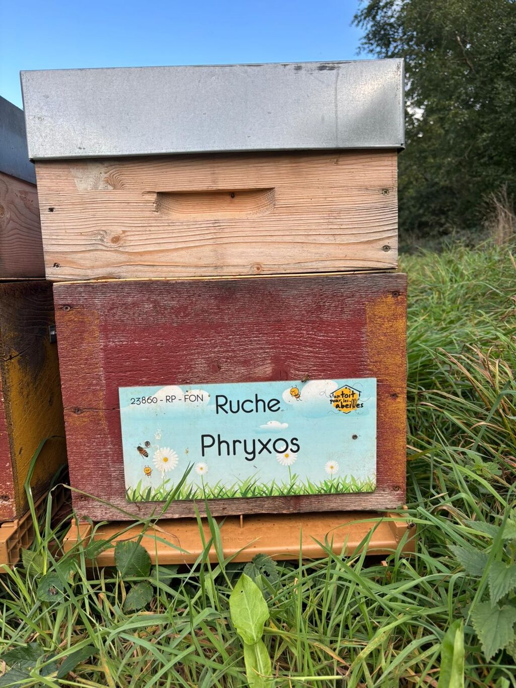 La ruche Phryxos