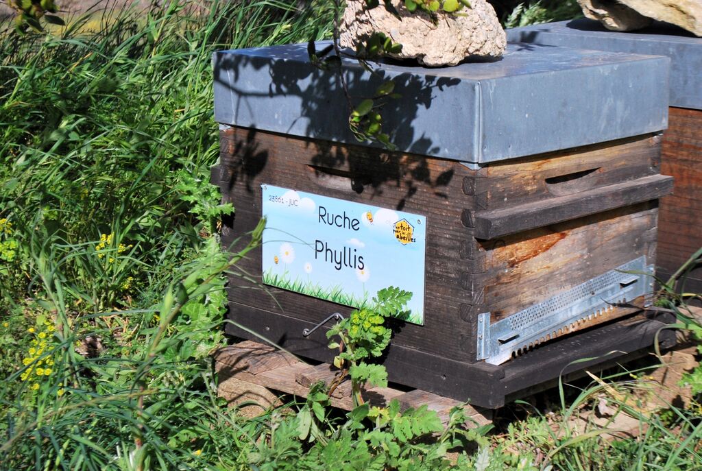 La ruche Phyllis