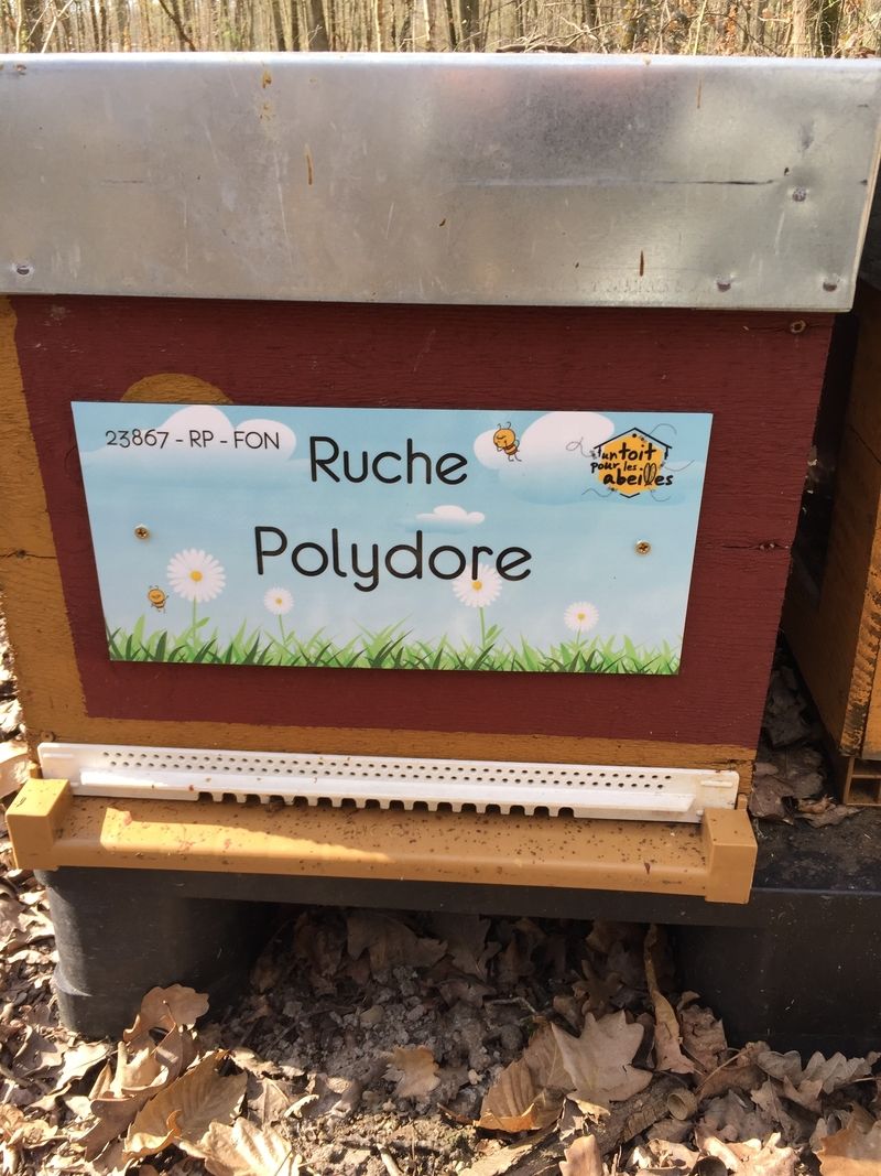 La ruche