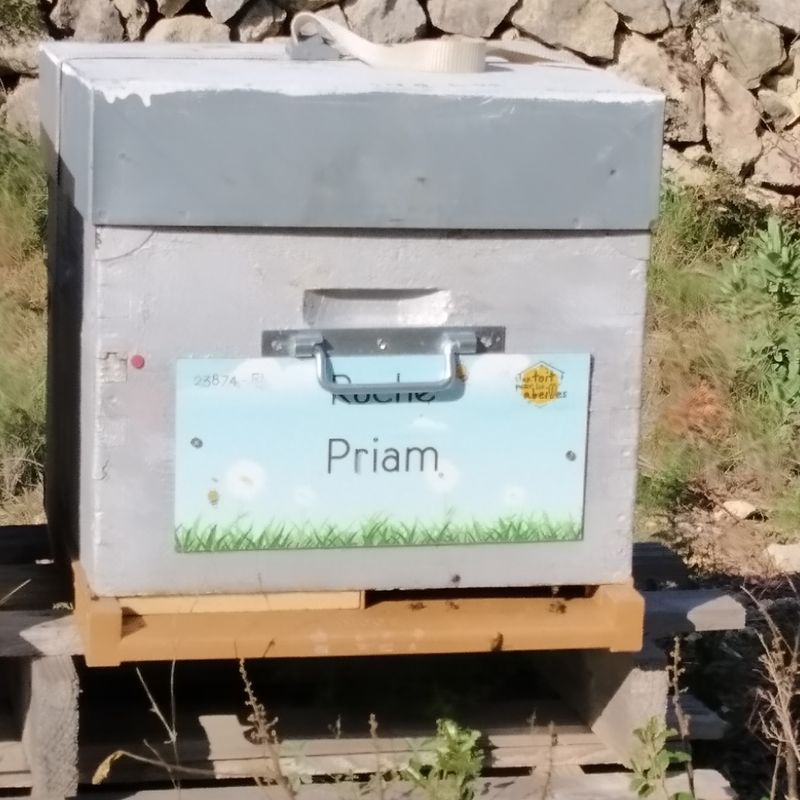 La ruche Priam