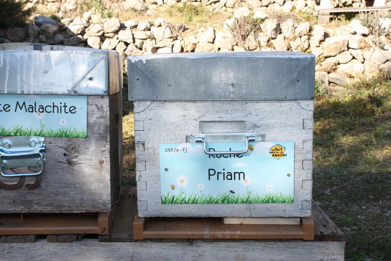 La ruche Priam