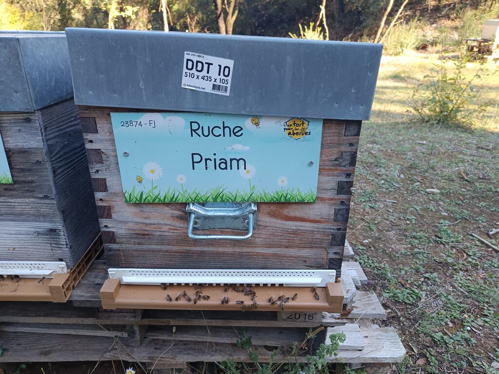 La ruche Priam