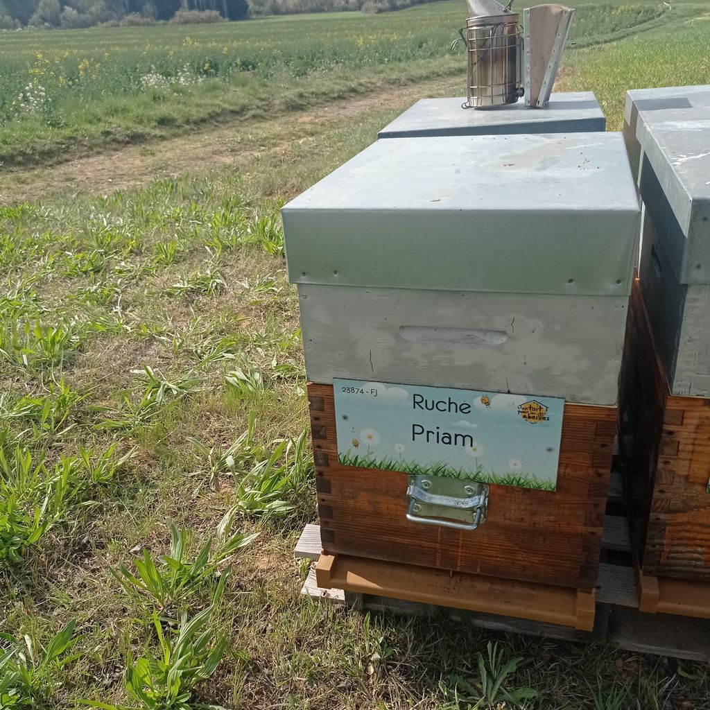 La ruche Priam