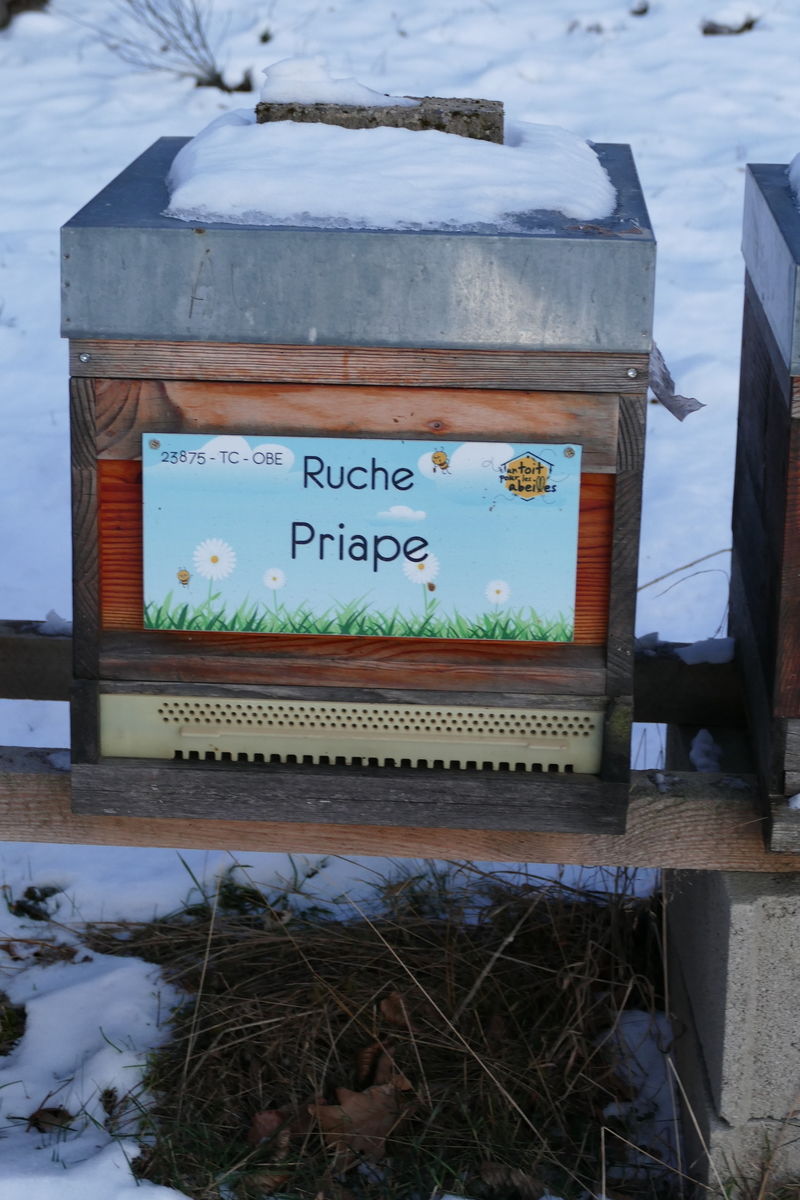 site de rencontre priape