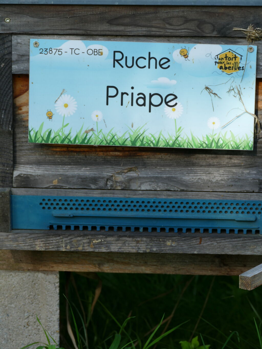 La ruche Priape