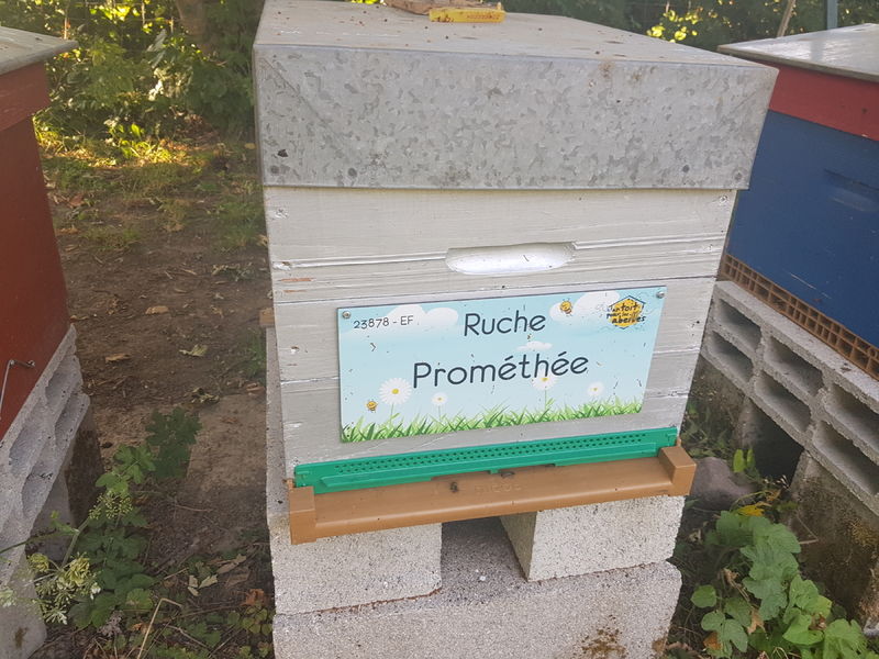 La ruche Prométhée