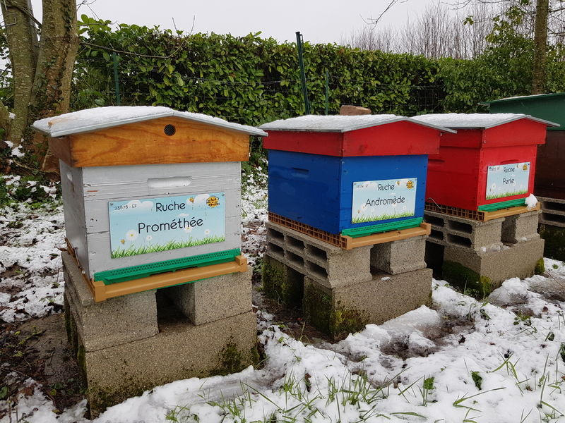 La ruche Prométhée