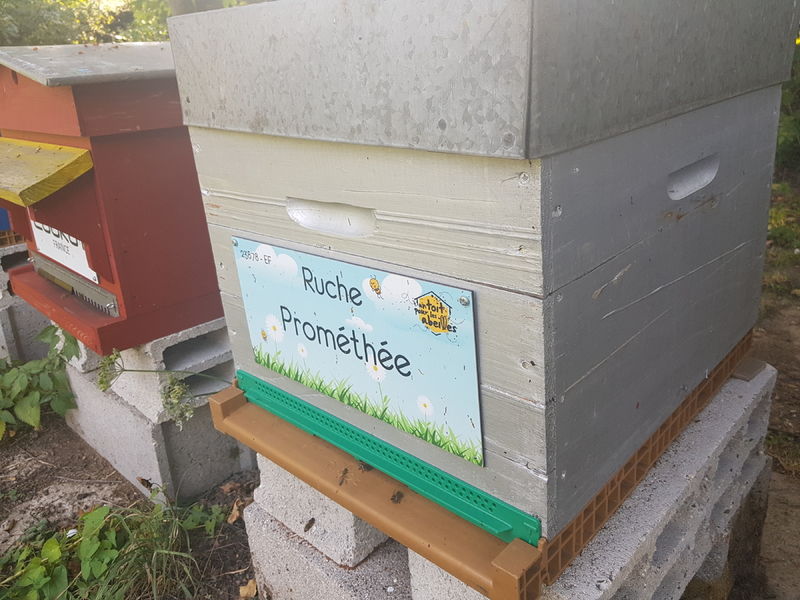 La ruche Prométhée