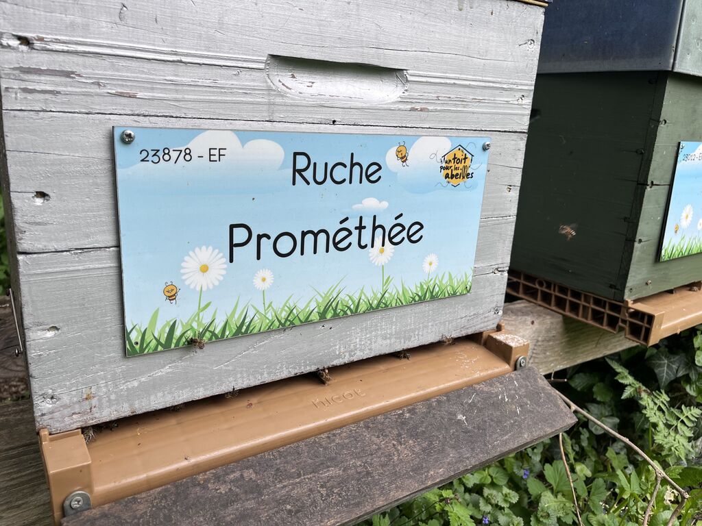La ruche Prométhée