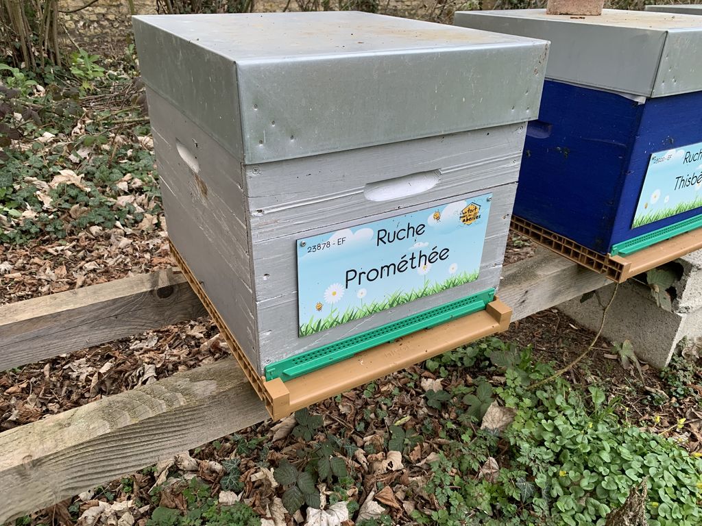 La ruche Prométhée