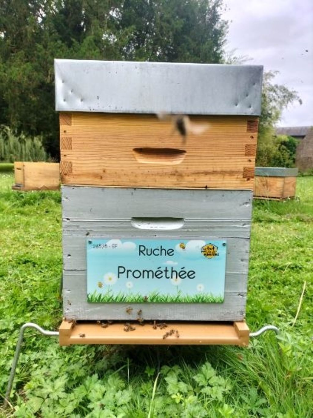 La ruche Prométhée