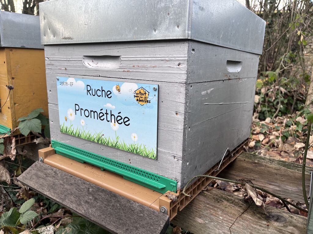 La ruche Prométhée