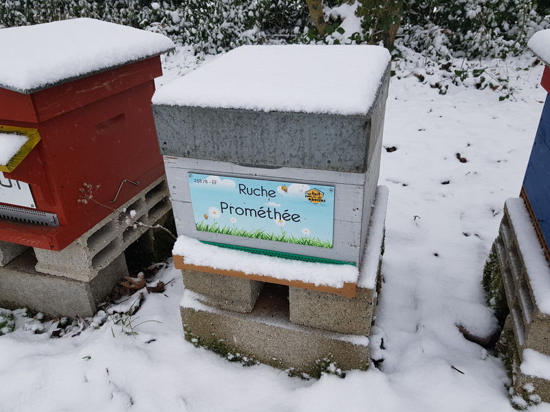 La ruche Prométhée