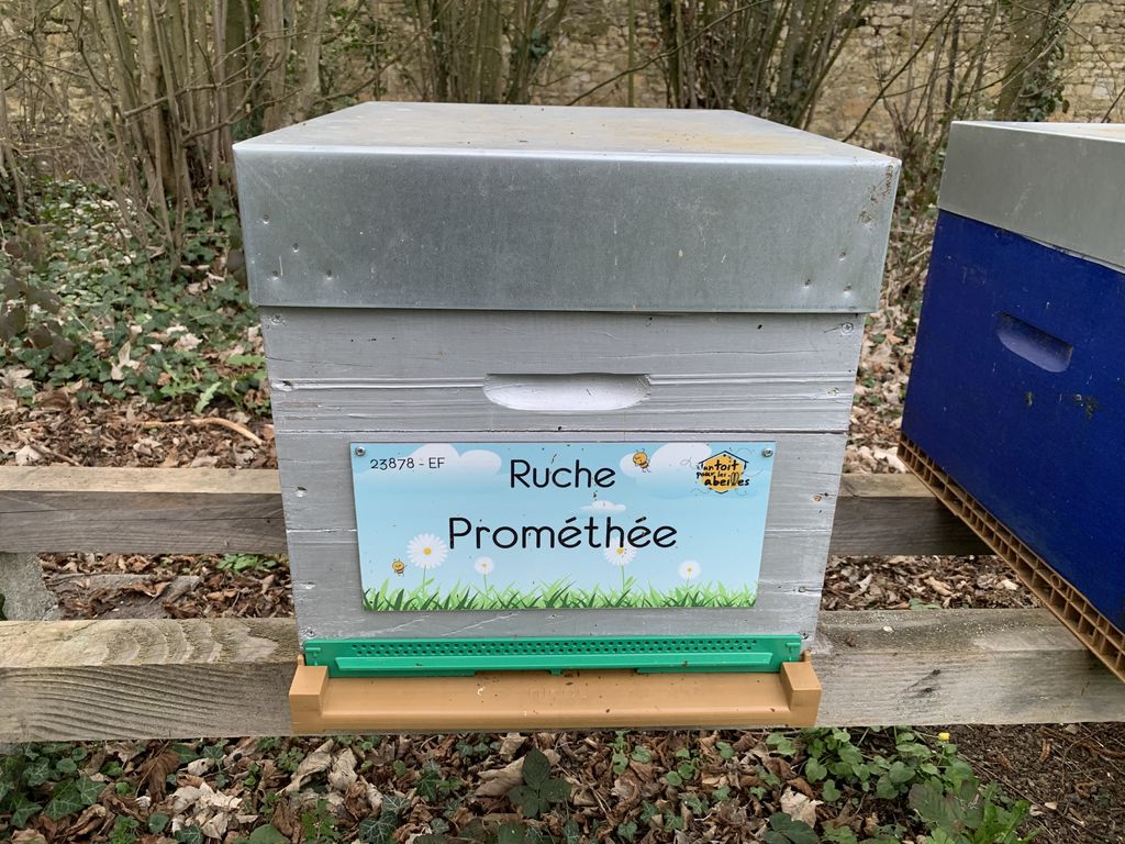La ruche Prométhée