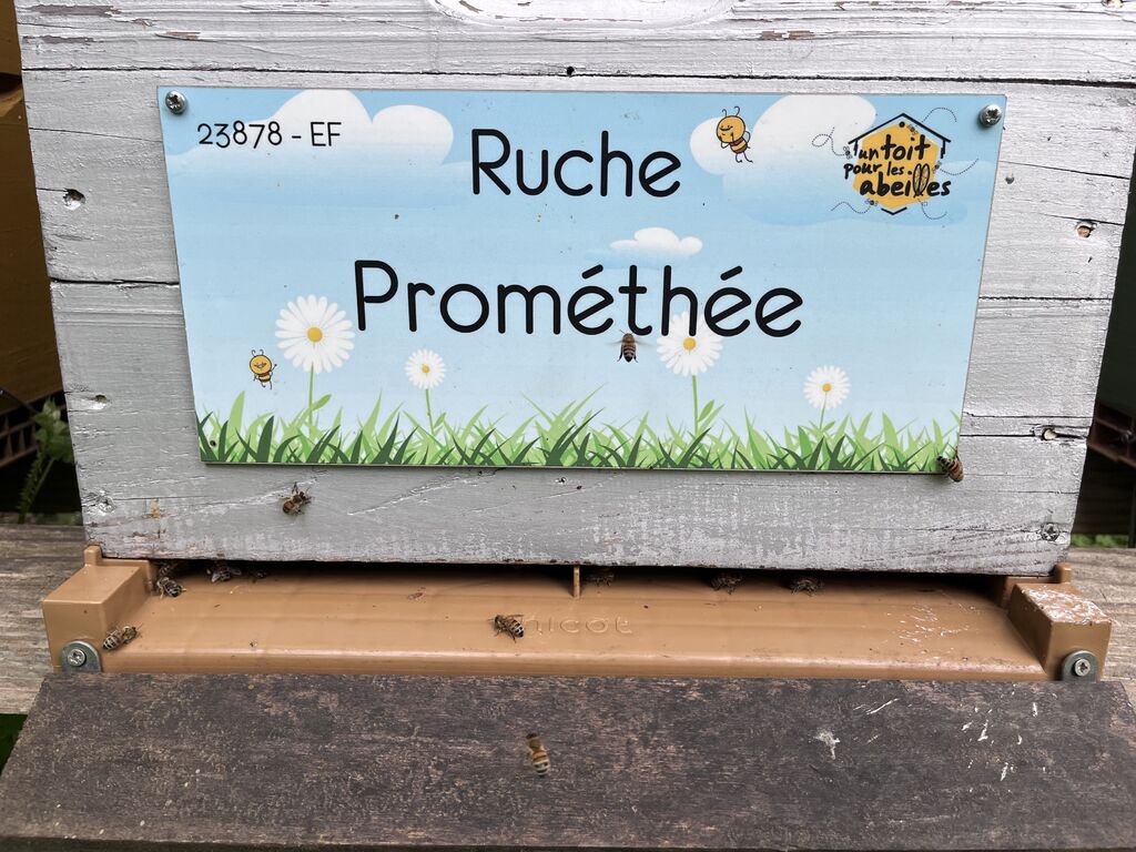 La ruche Prométhée