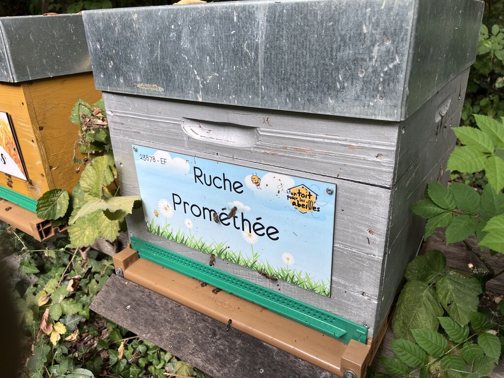La ruche Prométhée