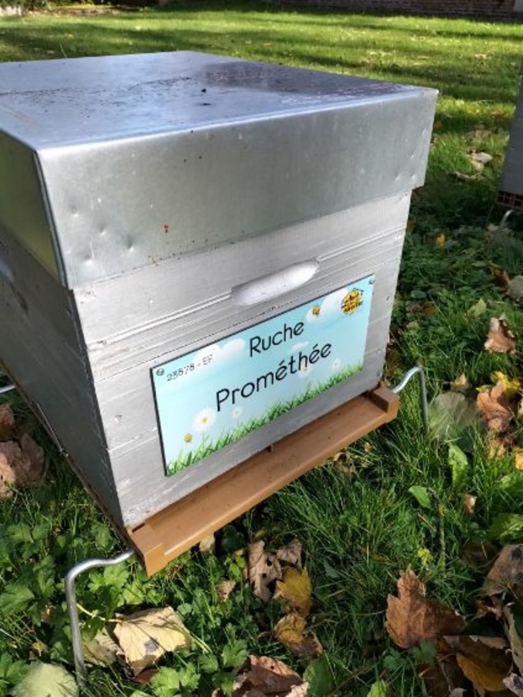 La ruche Prométhée