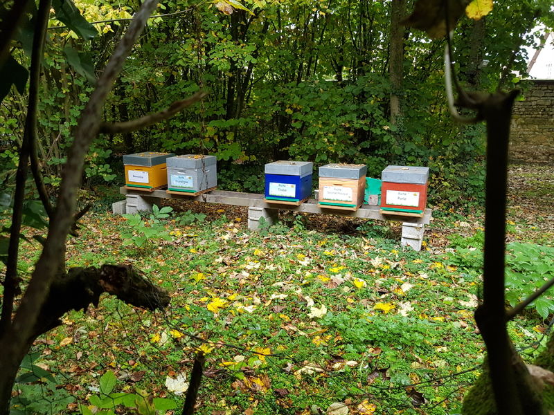 La ruche Prométhée