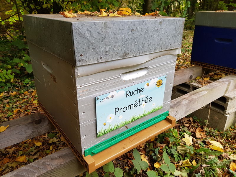 La ruche Prométhée