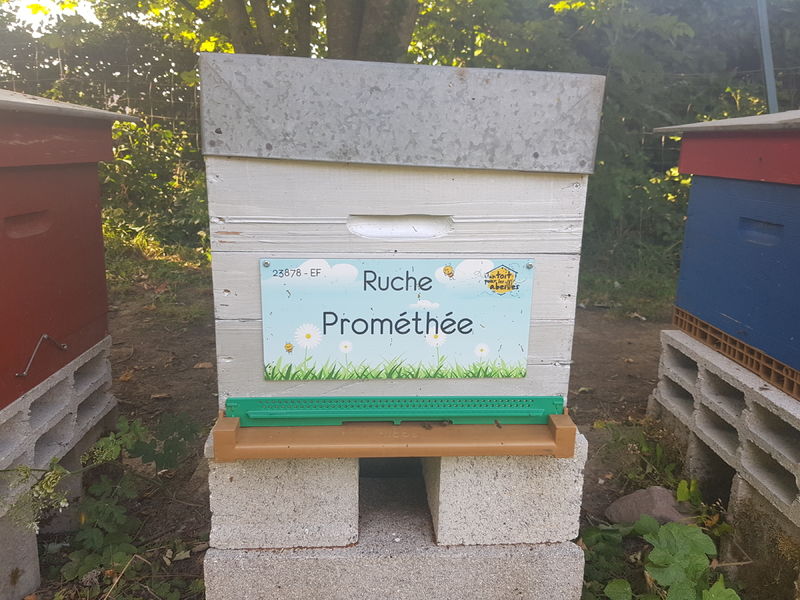 La ruche Prométhée
