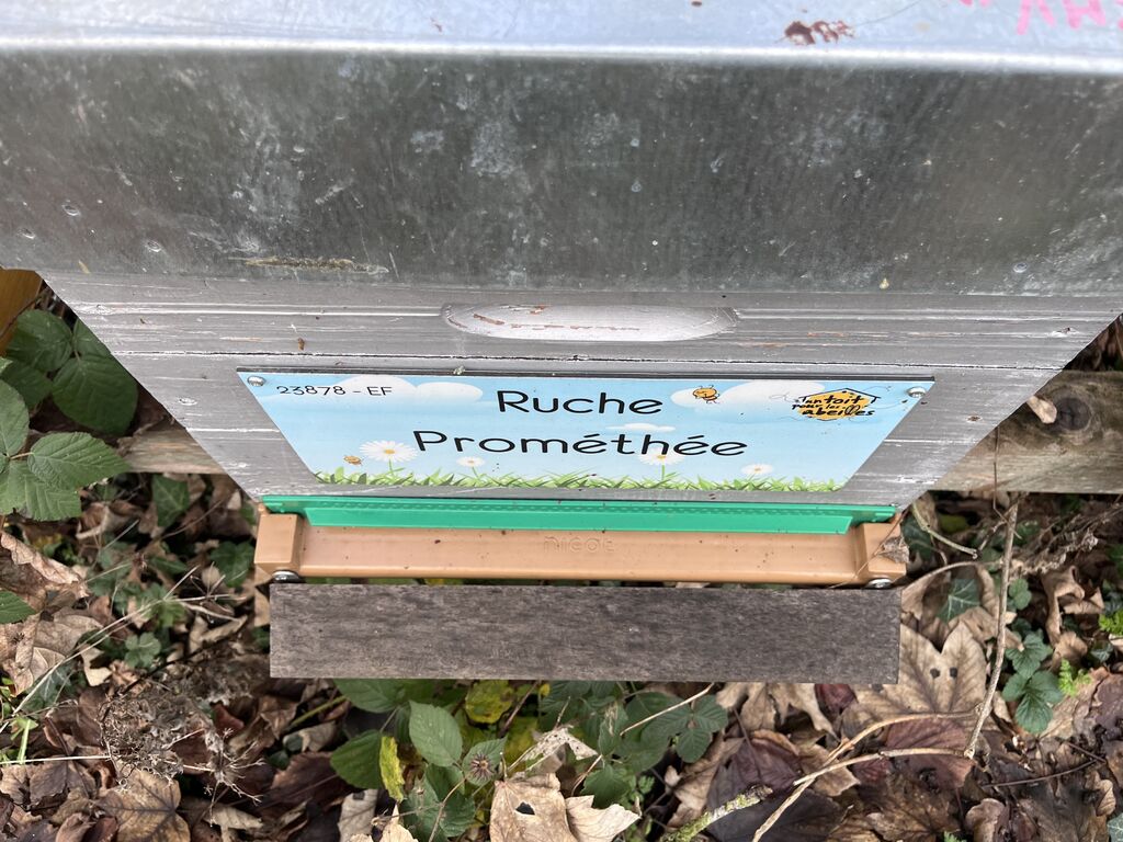 La ruche Prométhée