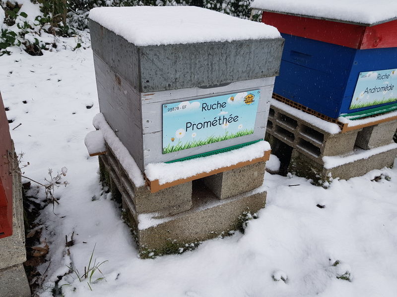 La ruche Prométhée