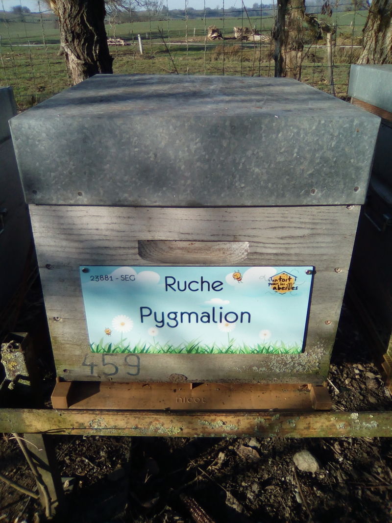 La ruche