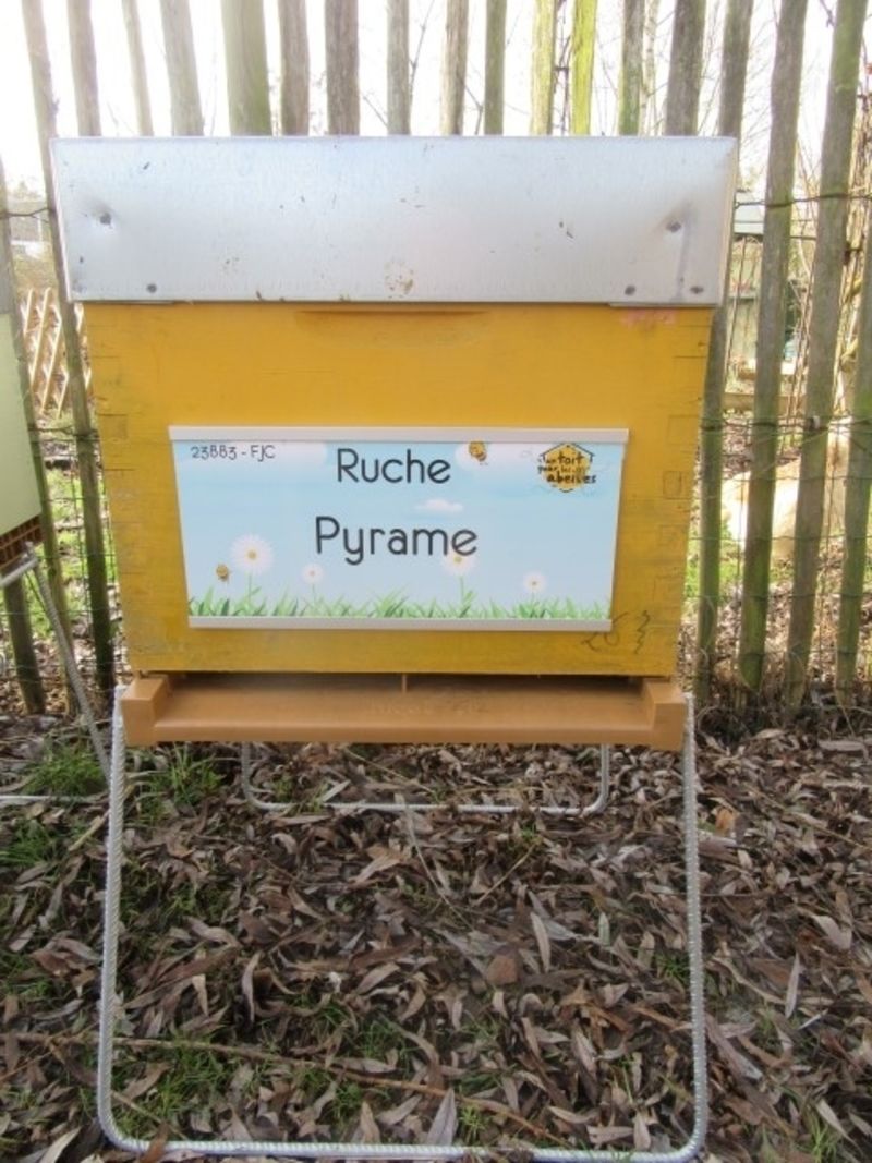 La ruche