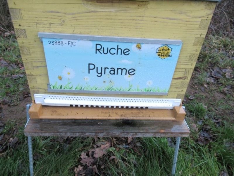 La ruche Pyrame