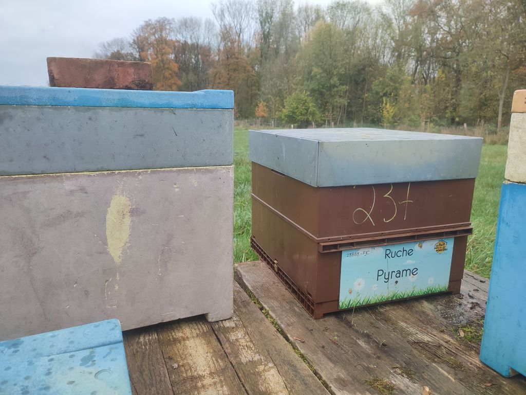 La ruche Pyrame