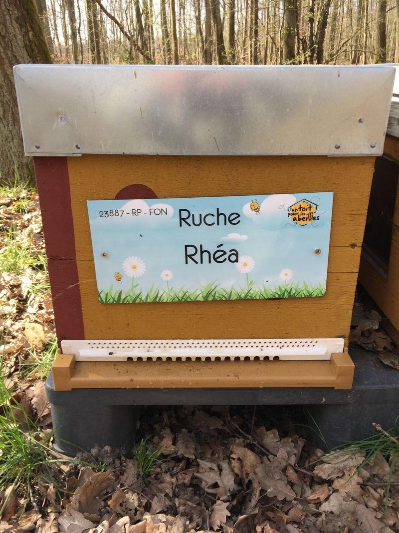 La ruche