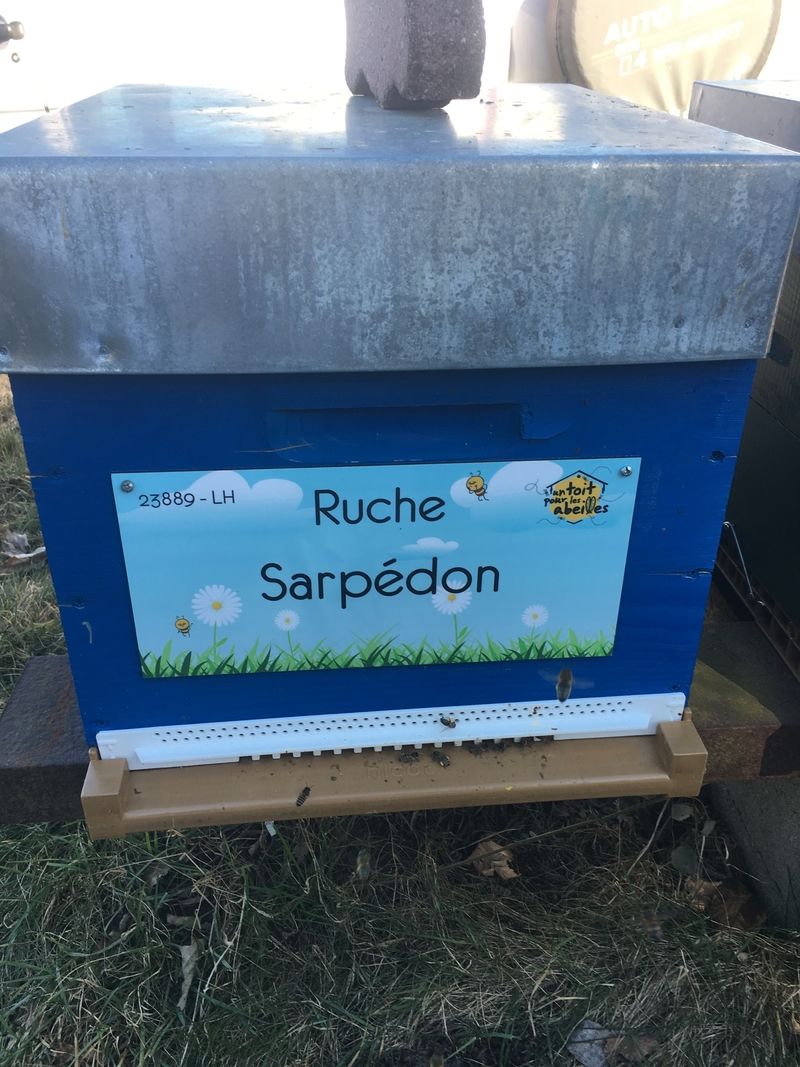 La ruche