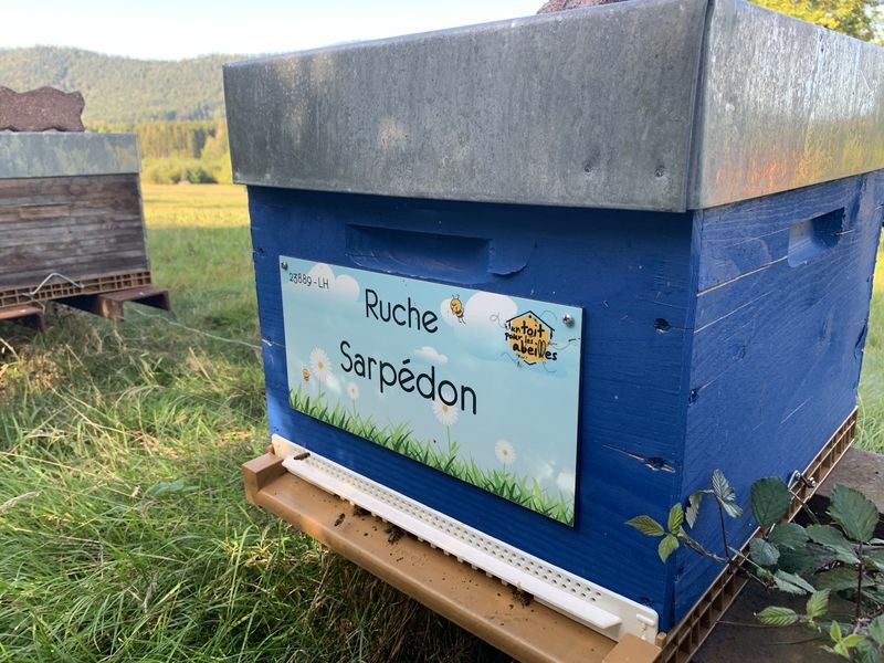 La ruche Sarpédon