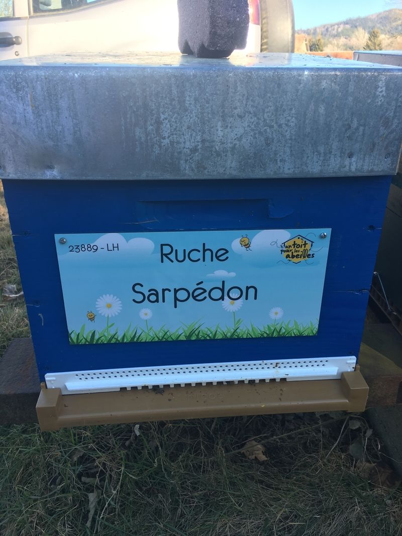 La ruche Sarpédon