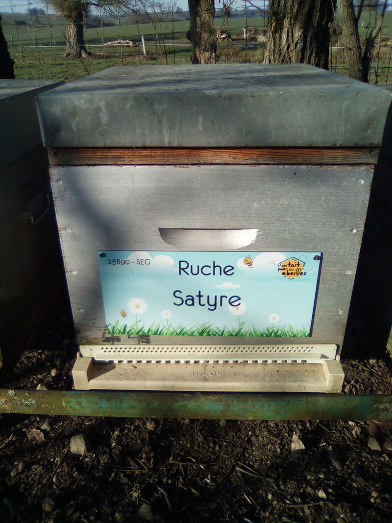 La ruche