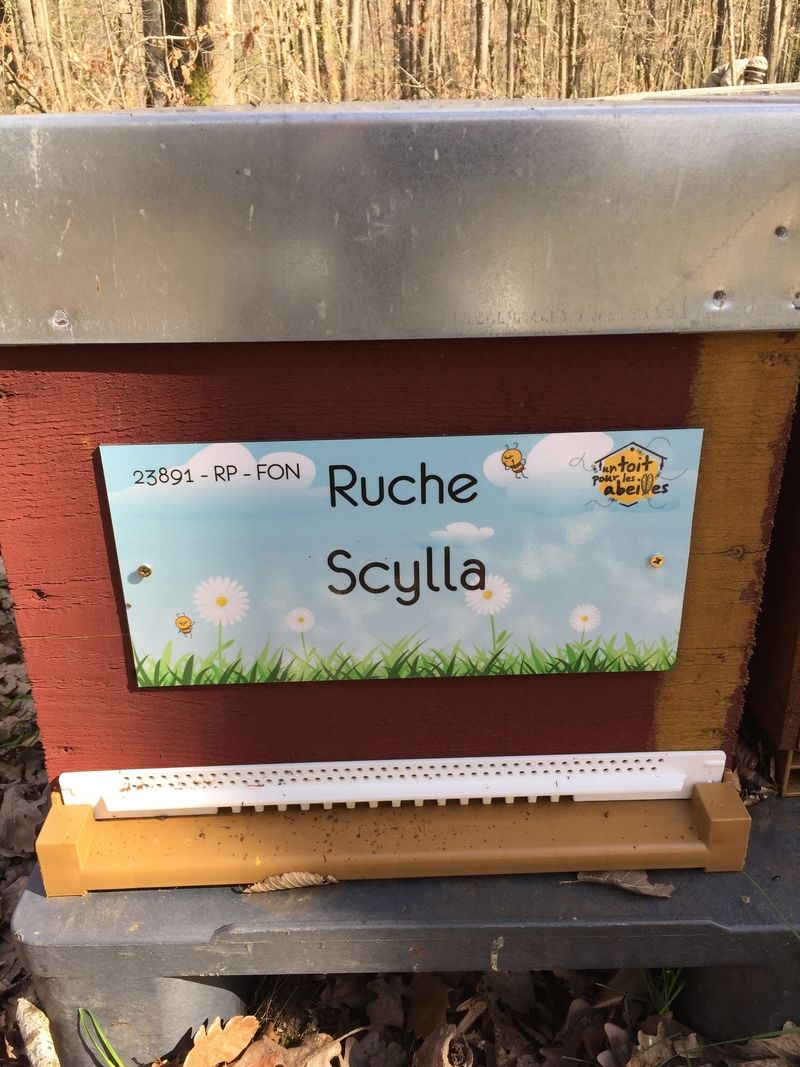 La ruche