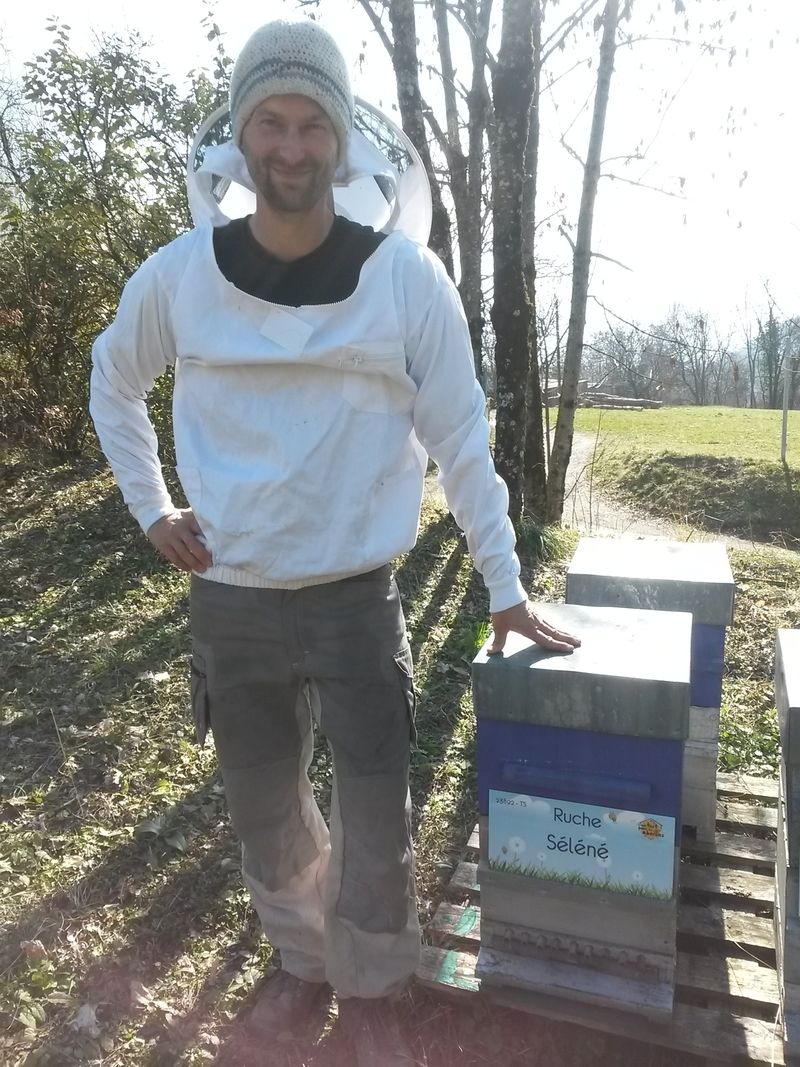 La ruche Séléné