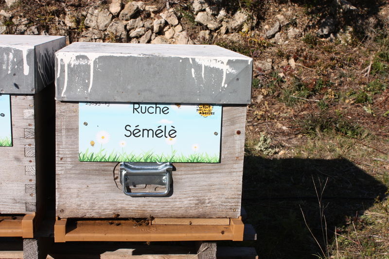 La ruche Sémélè