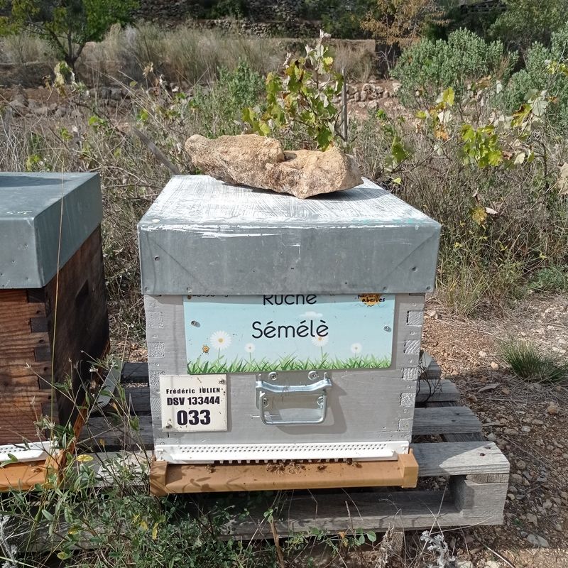 La ruche Sémélè