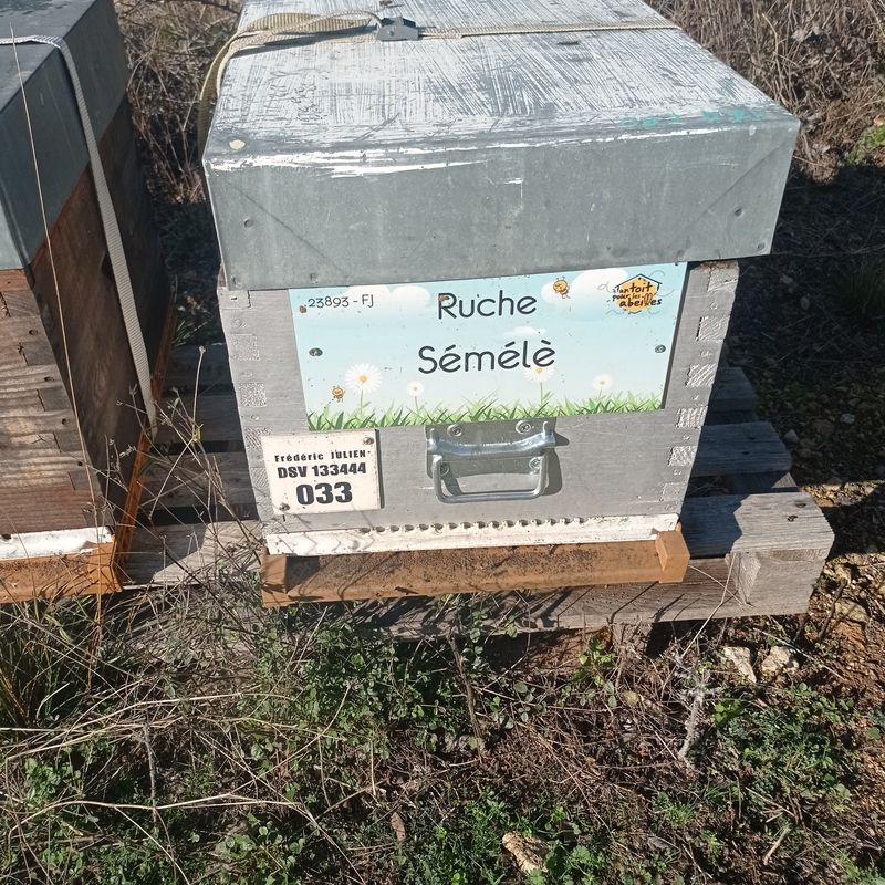 La ruche Sémélè