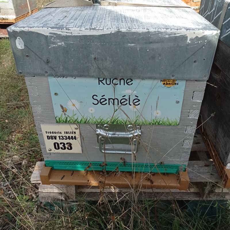 La ruche Sémélè