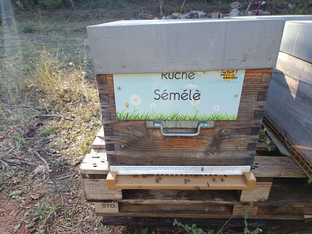 La ruche Sémélè